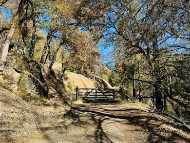 Gate At Hwy 3
