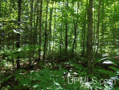 TBD E Shore Rd, Bergland, MI 49910 - photo 5