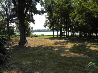 16321 Big Oak Bay Rd, Tyler, TX 75707 - photo 4