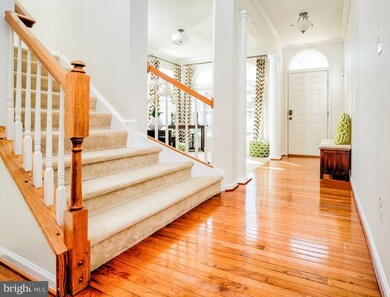 42234 Paradise Place, Chantilly, VA 20152 - photo 5