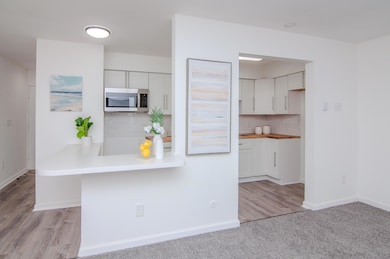 4194 Packard St unit 1, Ann Arbor, MI 48108 - photo 6