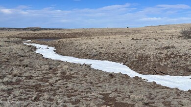 Seasonal Arroyo