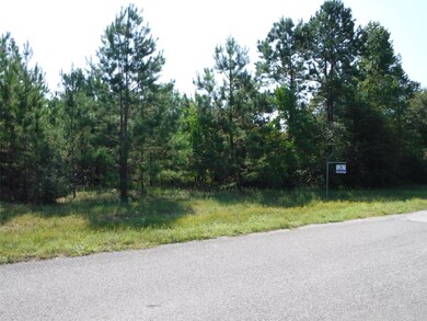 2064 White Buck Ct, Cleveland, TX 77328 - photo 3