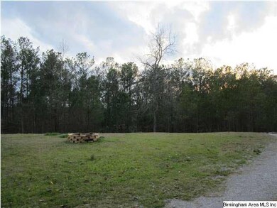 BACK YARD VIEW