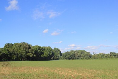 IMG_4341