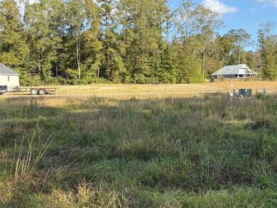 43439 Springwood Way, Hammond, LA 70403 - photo 3