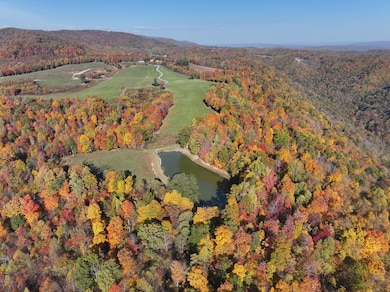 DJI_20241022201834_0023_D