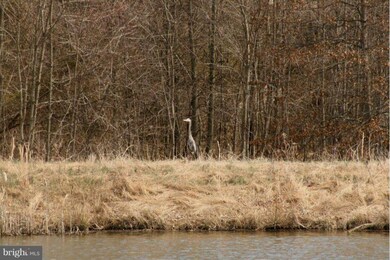 0 Purcellville Rd unit 1003404196, Purcellville, VA 20132 - photo 5