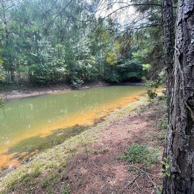 1618 Coxstill Rd, Adel, GA 31620 - photo 7