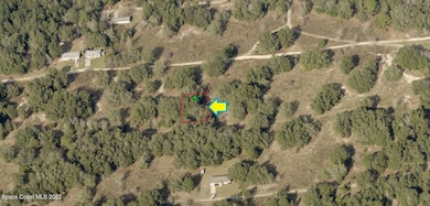 2308 Jefferson St, Inverness, FL 34453 - photo 4