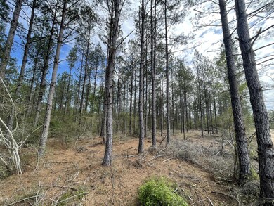 0 Stanford Lake Rd unit 140592, Poplarville, MS 39470 - photo 3