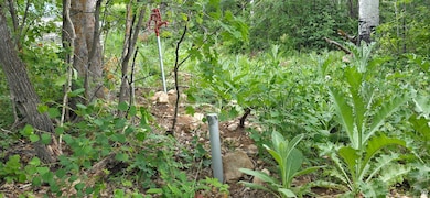 Freezeless Hydrant and Power Conduit Access