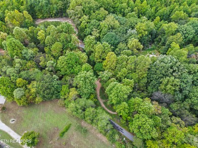 04-DJI_0653