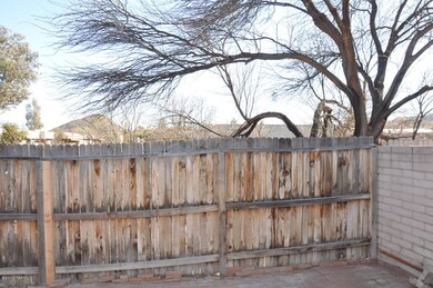 Back yard will be shaded this spring