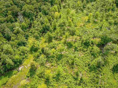 421 High St unit Map 49 Lot 57, Boscawen, NH 03303 - photo 7