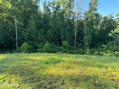 330 N Dark Hollow Rd, Andersonville, TN 37705 - photo 3