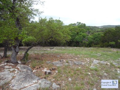 0 Rocky Ridge Loop unit 210790, Canyon Lake, TX 78133 - photo 4