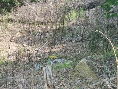 00 Hickory Nut Ln unit 390, Lake Lure, NC 28746 - photo 7