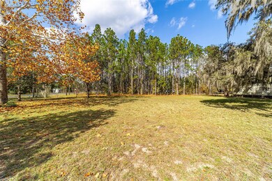17053 NE 148th Terrace Rd, Fort Mc Coy, FL 32134 - photo 6