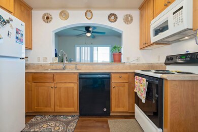 Live Oak_001 copy