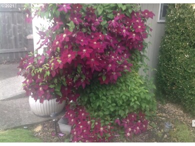 964 S Pine St, Canby, OR 97013 - photo 3