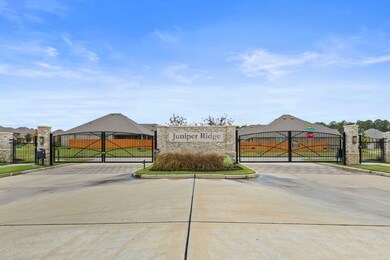 13911 Cibola Forest Ln, Conroe, TX 77384 - photo 2
