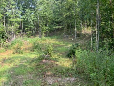 0 Old Stage Coach Rd unit 750408, Rutledge, TN 37861 - photo 7