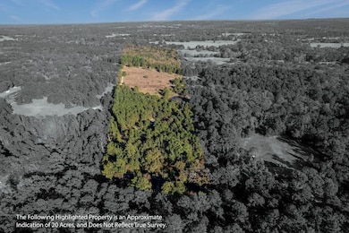 476 An County Road 414, Palestine, TX 75803 - photo 2