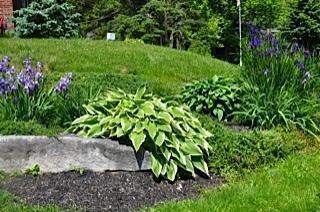 Exterior Front. wonderful landscaping