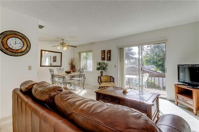 Open floor plan, lots of natural light (furniture 