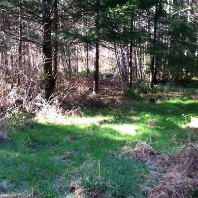 67 Badger Rd, Hoquiam, WA 98550 - photo 4