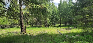 Tbd, Lot 5 Parmenter Dr, Libby, MT 59923 - photo 3