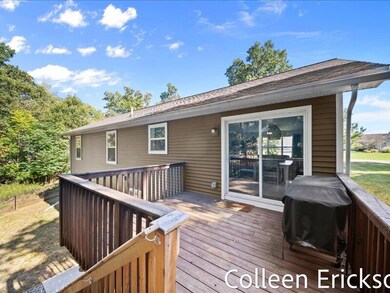 833 Morgan Dr, Belding, MI 48809 - photo 6