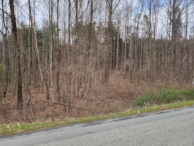 9 and 9A Industry Blvd, Rocky Mount, VA 24151 - photo 4