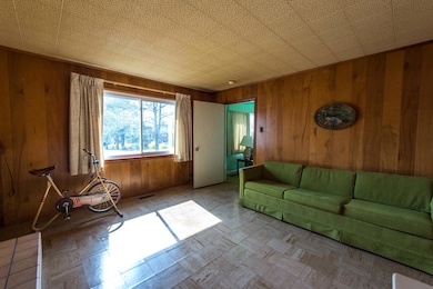 Tons of natural light!