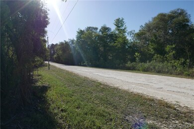 Standing in the preserve looking at property from
