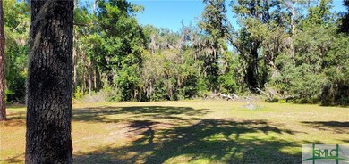 Looking from the car port into the back yard