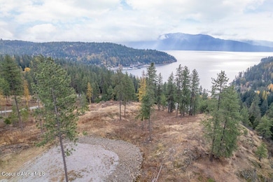 NNA Red Hawk Landing, Sagle, ID 83860 - photo 6