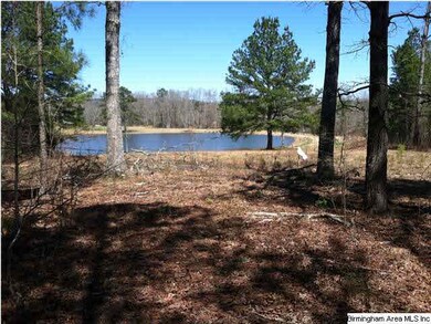 Standing at previous home site facing the lake. Th