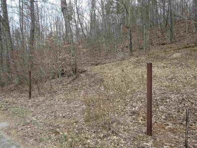 5732 Monument Hill Rd unit Lot 1, Castleton, VT 05735 - photo 5