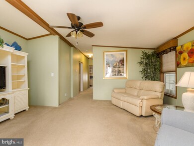 330 Little Ln, Williamstown, NJ 08094 - photo 7