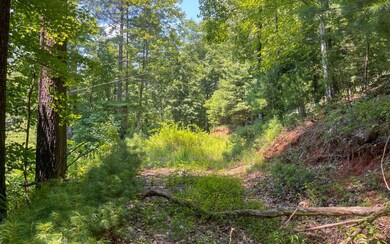 Additional View