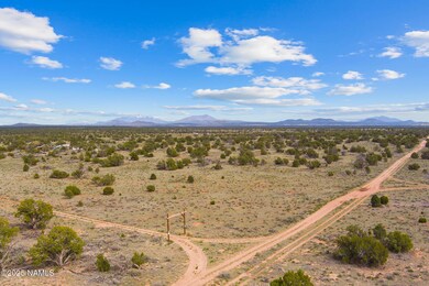 50178020f Wyandotte Rd, Williams, AZ 86046 - photo 4