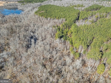 0 Freedom Ln unit 9D, Commerce, GA 30529 - photo 3