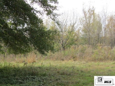 000 State Route 585, Alto, LA 71269 - photo 3