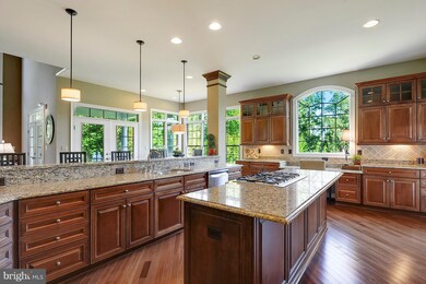 19801 Aldie Burn Ln, Leesburg, VA 20175 - photo 6