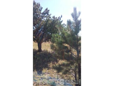 548 Opal Dr, Hartsel, CO 80449 - photo 3