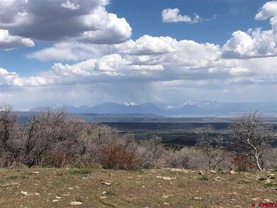 21525 W Elks View Dr, Cedaredge, CO 81413 - photo 6