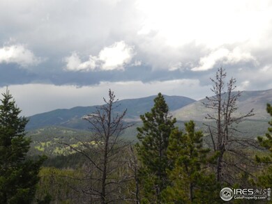 0 Elk Horn Trail unit 770264, Bellvue, CO 80512 - photo 2