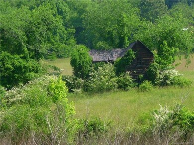 00 Jones Patton Rd, Leicester, NC 28748 - photo 6